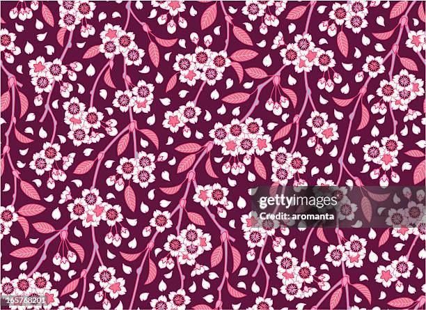 cherry blossom - inflorescence stock illustrations