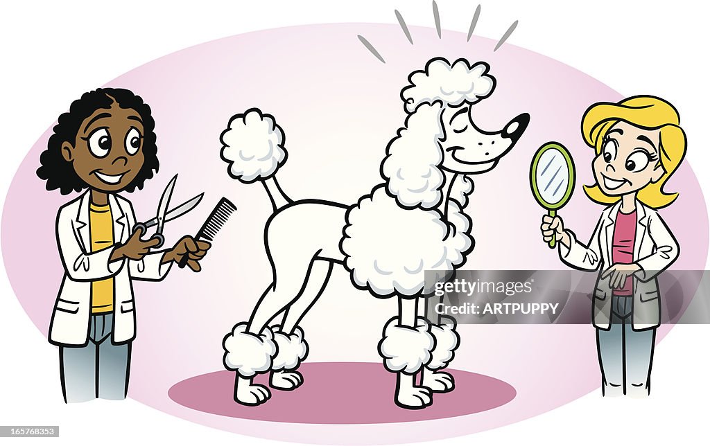 Cão de beleza