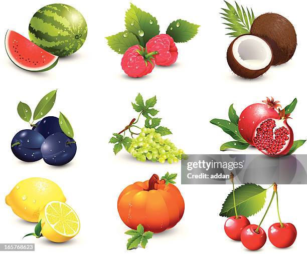 fruit - fruit white background stock illustrations