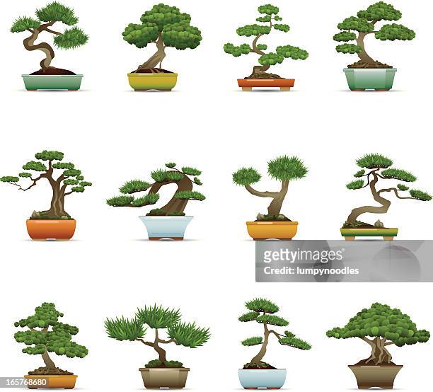 ilustraciones, imágenes clip art, dibujos animados e iconos de stock de iconos de árbol bonsái - bonsai