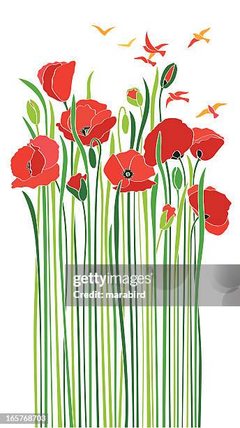 bildbanksillustrationer, clip art samt tecknat material och ikoner med bouquet of scarlet poppies birds enjoying spring - poppy plant