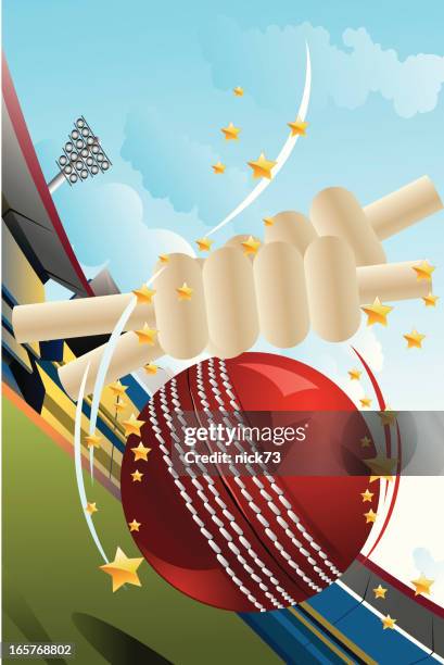 cricket celebration - sports bat stock illustrations