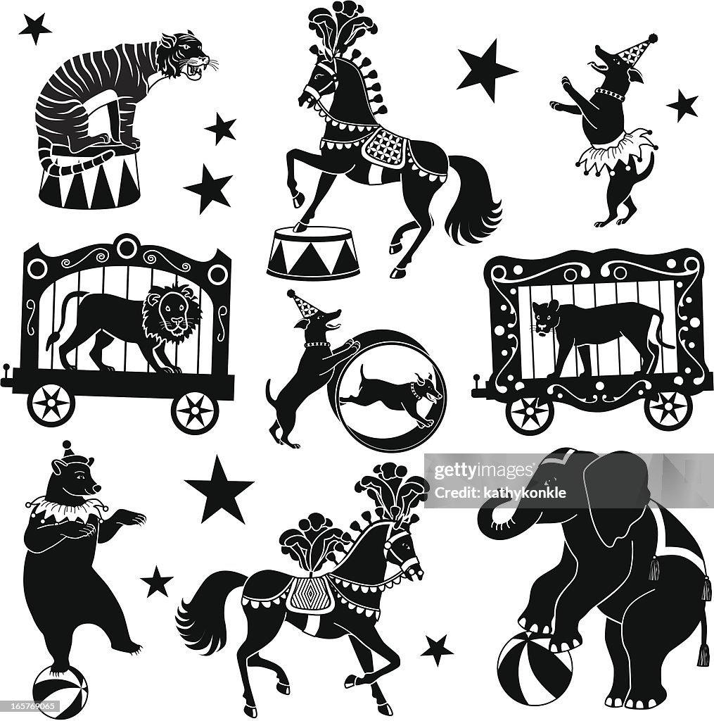 Circus Tiere