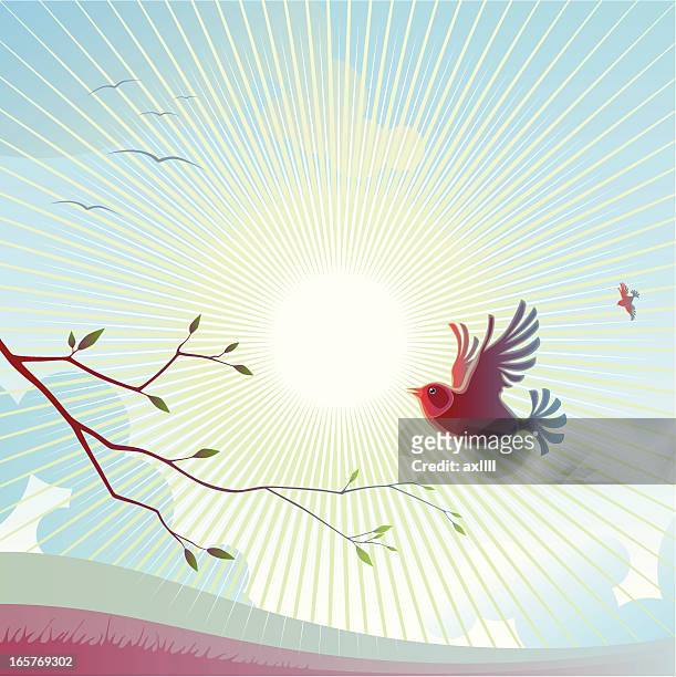 spring_sunrise - mockingbird 幅插畫檔、美工圖案、卡通及圖標