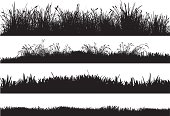 Detailed silhouettes of different grass floors