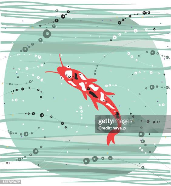 koi fish swimming in pond - carp stock illustrations