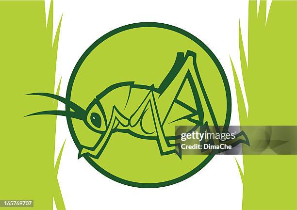 clipart light green katydid inside a circle with grass - cricket insect stock illustrations