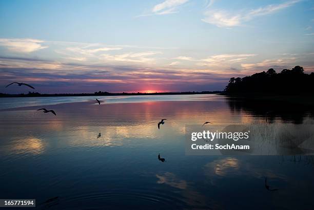 pôr do sol no rio medo do cabo - wilmington-carolina-do-norte imagens e fotografias de stock
