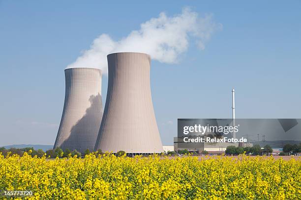 centrale nucléaire avec fumée les tours de refroidissement et le champ de colza - tour de refroidissement photos et images de collection