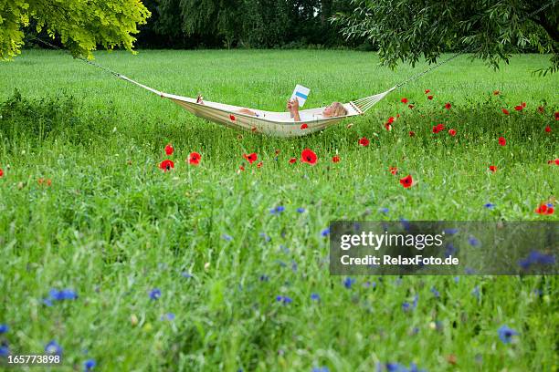mature woman lying on hammock in garden reading book - woman flowers stockfoto's en -beelden