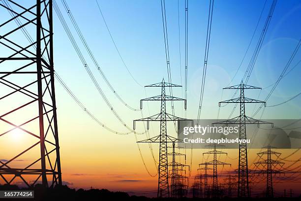 high voltage pylons in the evening sun - high voltage sign stock pictures, royalty-free photos & images