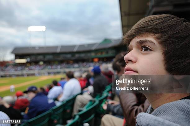 teenage baseball fan - baseball crowd stock pictures, royalty-free photos & images