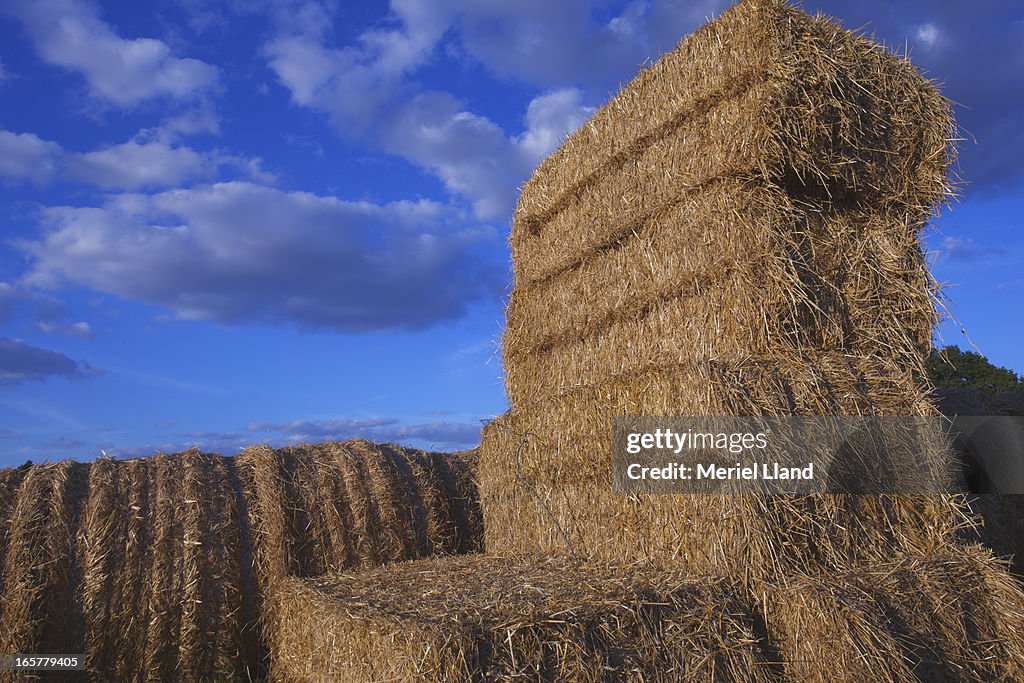 Hay bales and blue sky