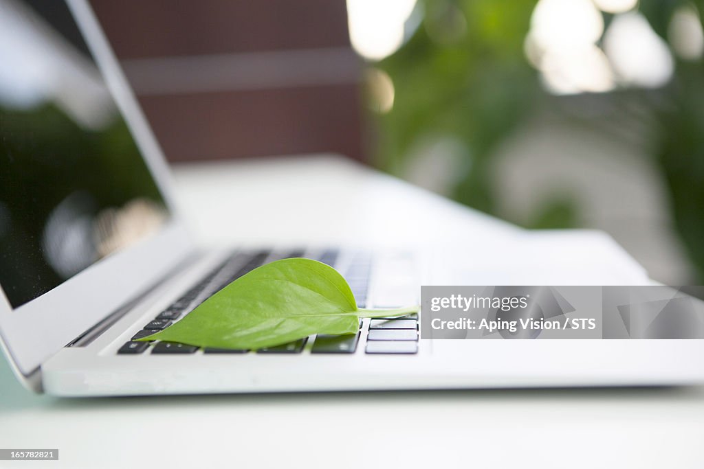 Green office concept