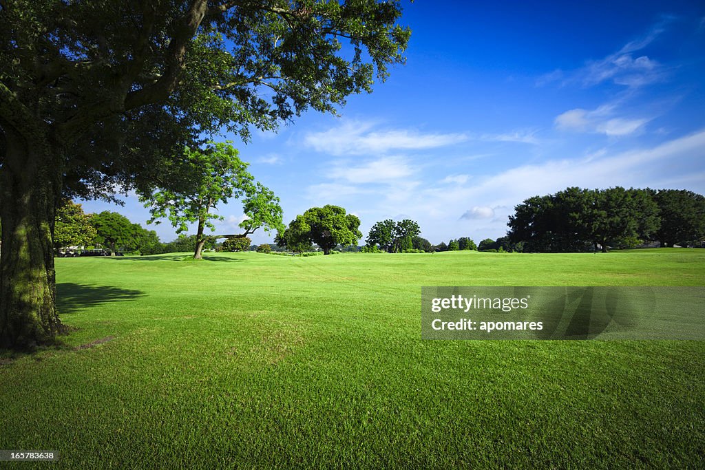 Golf Fields