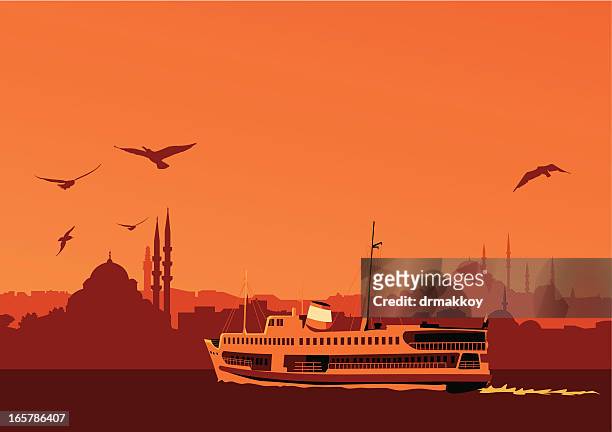 stockillustraties, clipart, cartoons en iconen met istanbul - galata tower