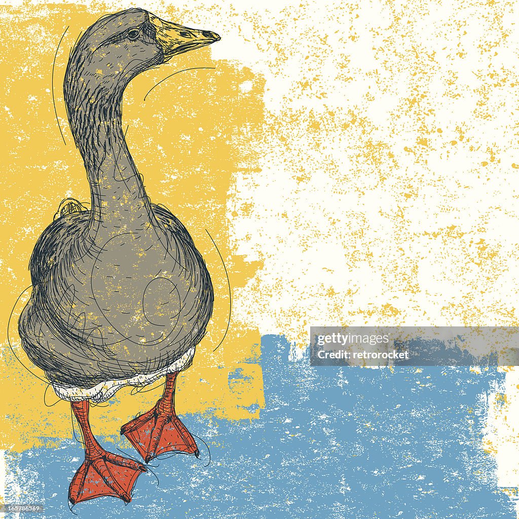 Goose background