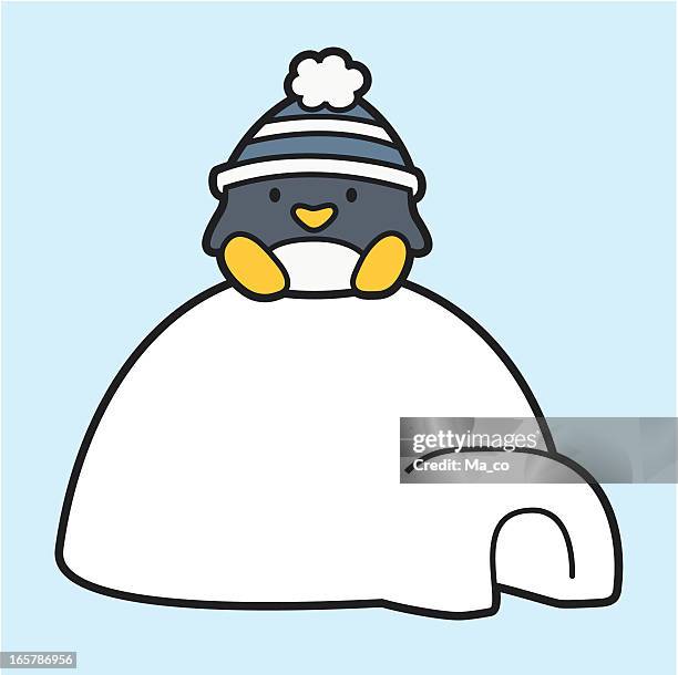 cartoon penguin sitting on an igloo - igloo isolated stock illustrations