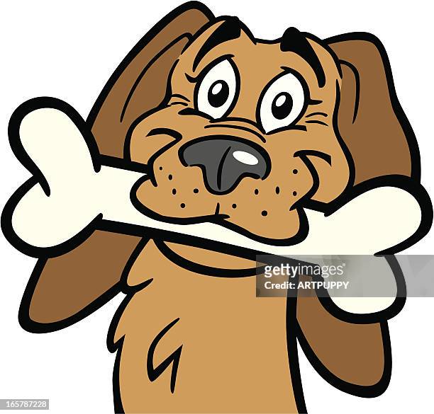 432 Cartoon Dog Bone Photos and Premium High Res Pictures - Getty Images