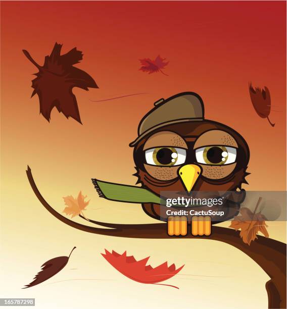 autumn owl - watching sunset stock illustrations