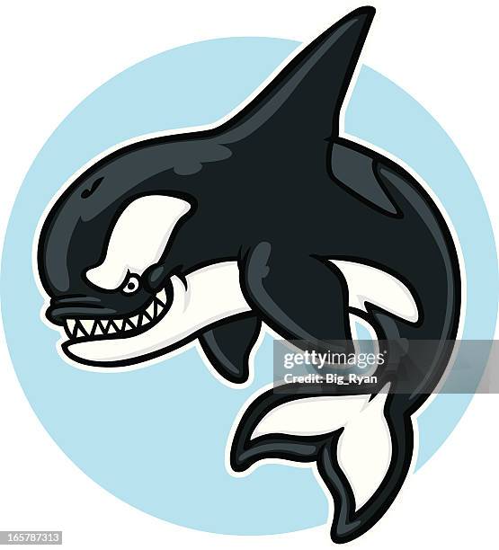 cartoon killer whale mascot - orca stock illustrations