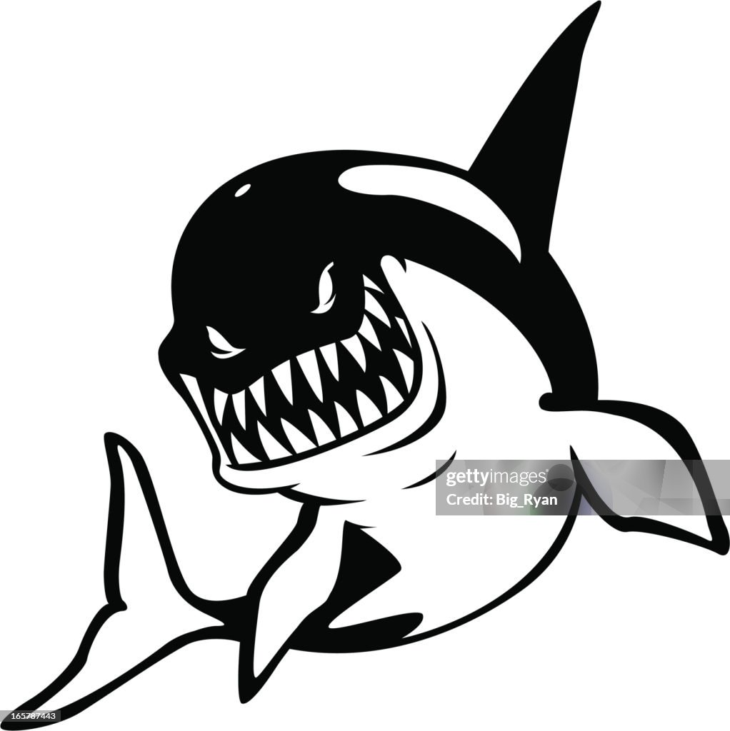 Ferocious killer whale