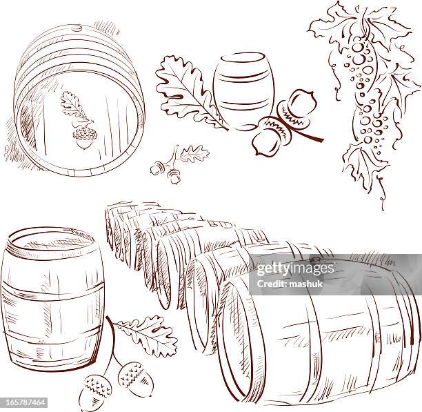 oak barrel - oak tree drawing stock illustrations