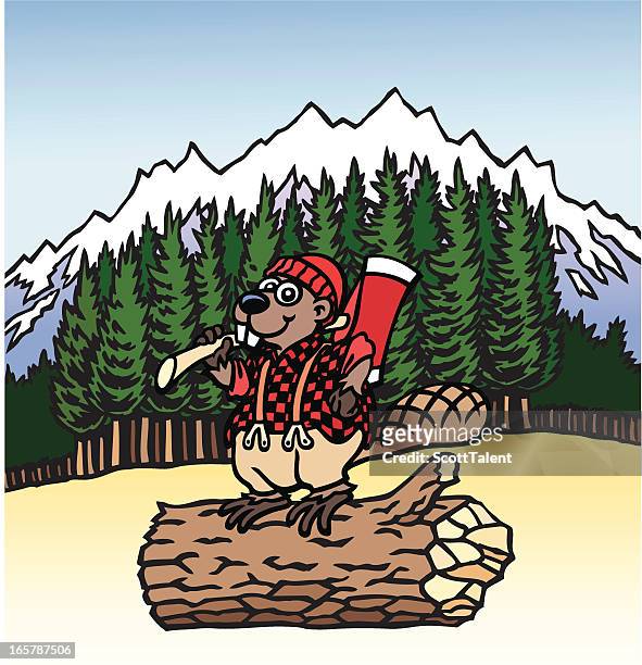 lumberjack beaver - funny beaver stock illustrations