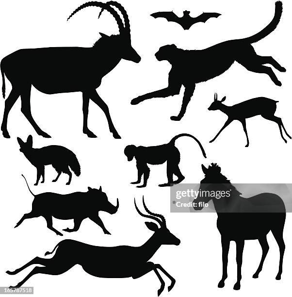 african animal silhouettes - cheetah zebras stock illustrations