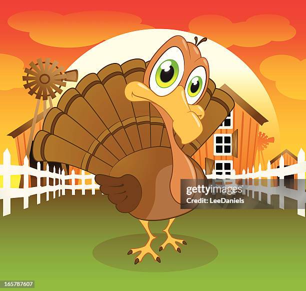 1,769 Turkey Beak Photos and Premium High Res Pictures - Getty Images 1,769 Turkey Beak Photos and Premium High Res Pictures - Getty Images