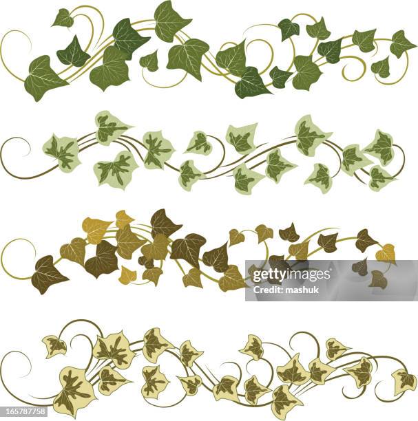 866点の蔦イラスト素材 Getty Images 866点の蔦イラスト素材 Getty Images
