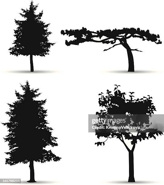 trees silhouette - fever tree stock illustrations