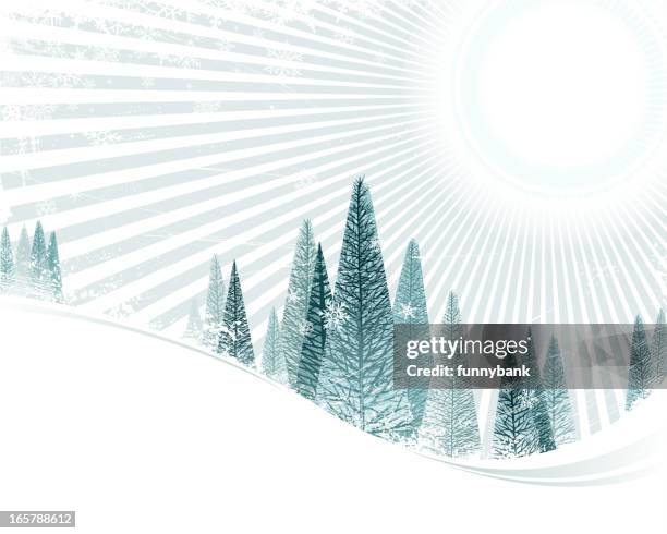 christmas tree view - snow wind vector stock illustrations