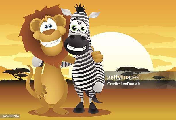 lion and zebra making friends - african travel smile stock illustrations