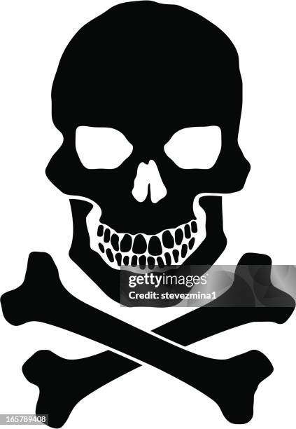 totenkopf - totenkopf stock-grafiken, -clipart, -cartoons und -symbole