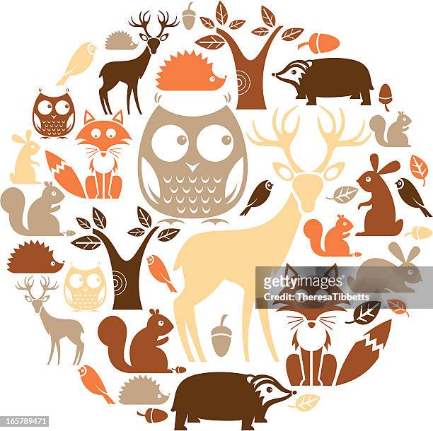 woodland icon set - animal wildlife stock illustrations