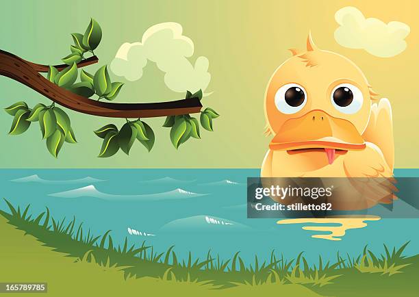 ente schwimmen - ente stock-grafiken, -clipart, -cartoons und -symbole