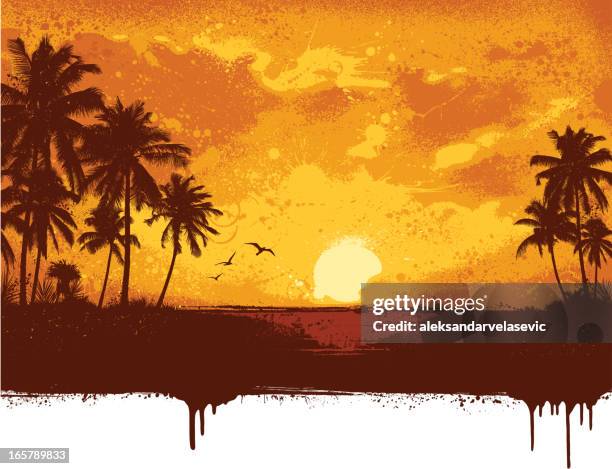 grunge strand hintergrund - tropical graphics stock-grafiken, -clipart, -cartoons und -symbole