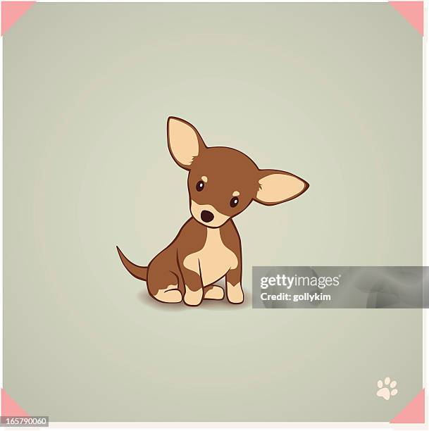 chihuahua puppy - chihuahua stock illustrations