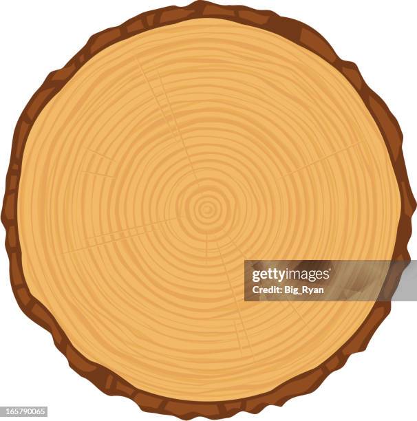 456 Parts Of A Tree Cartoon Stock Photos, High-Res Pictures, and Images ...