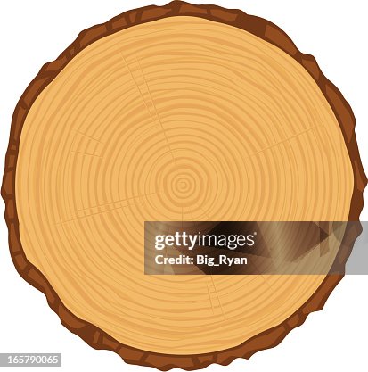 Tree rings Tree rings
