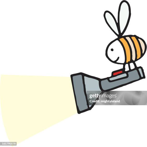 bee with a flashlight or torch - bumblebee white background stock illustrations