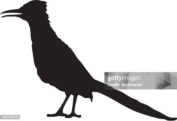 ilustraciones, imágenes clip art, dibujos animados e iconos de stock de correcaminos - correcaminos