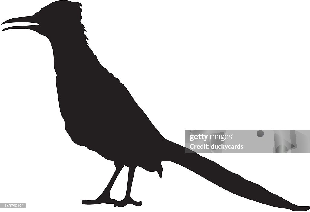 Roadrunner
