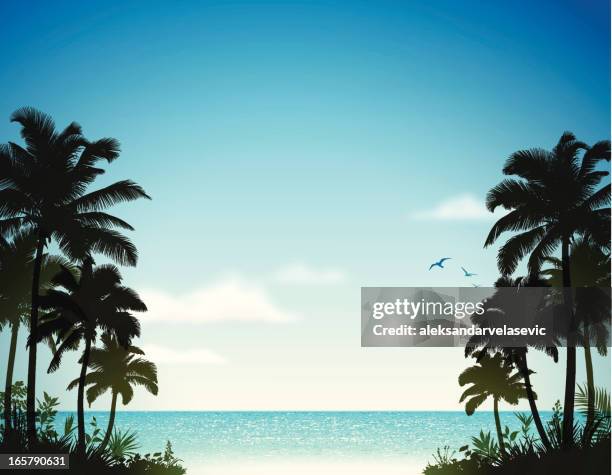 tropical beach with palm trees - cocos plant 幅插畫檔、美工圖案、卡通及圖標