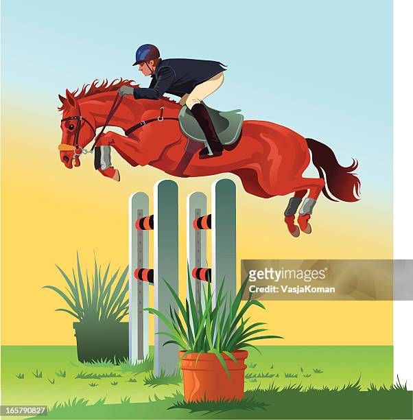 ilustrações, clipart, desenhos animados e ícones de cavalo pulando o obstáculo - equestrian show jumping