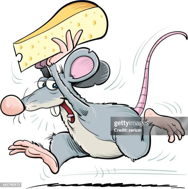 139 Mouse Running High Res Illustrations - Getty Images