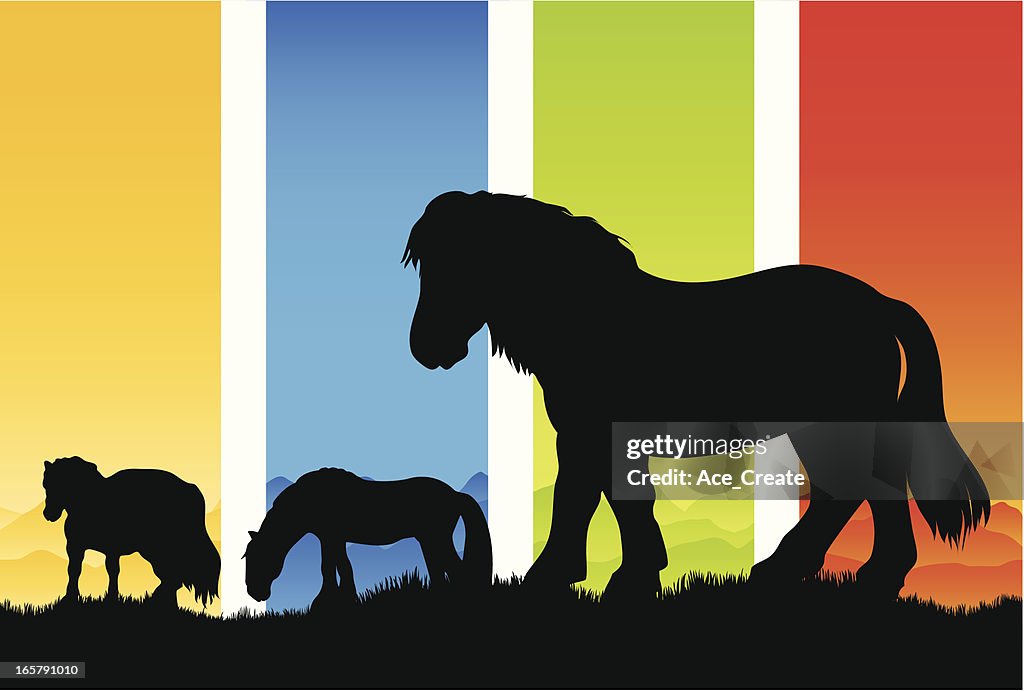 The four seasons pony silhouettes