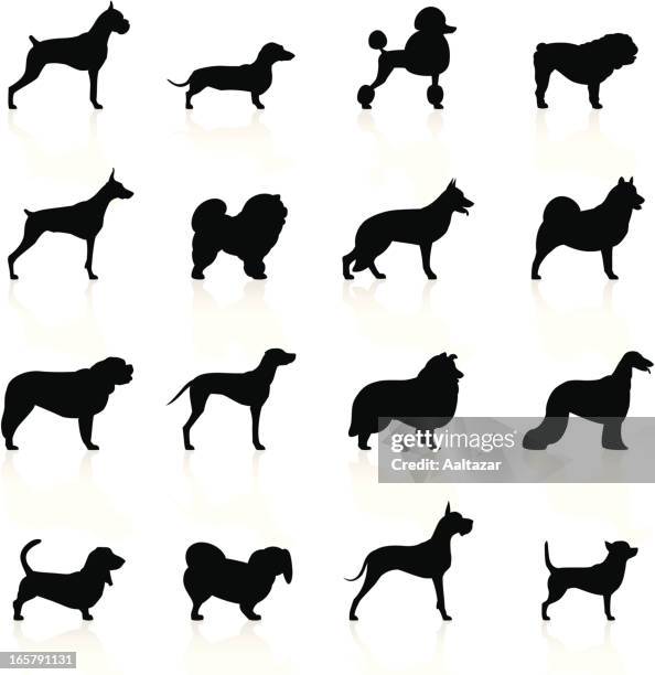 black symbols - dogs - basset hound stock illustrations