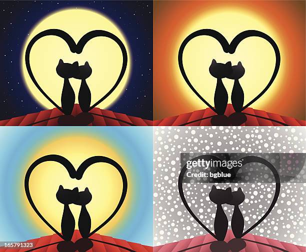 ilustraciones, imágenes clip art, dibujos animados e iconos de stock de amoroso gatos en el último piso, en forma de corazón-cola, por la noche, al atardecer - chat noir